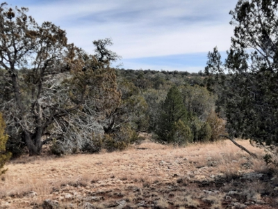 Nice Northern AZ off grid property - image 11