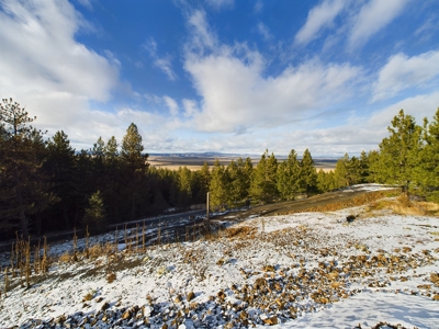 Cabin for Sale in Grangeville, Idaho - image 6