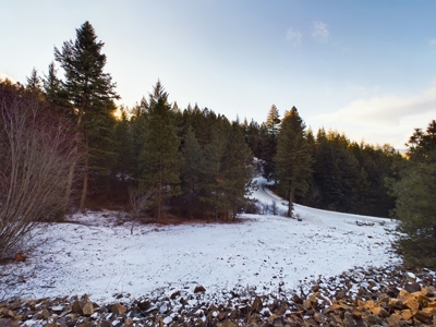 Cabin for Sale in Grangeville, Idaho - image 31
