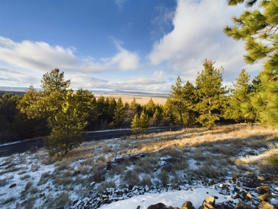 Cabin for Sale in Grangeville, Idaho - image 37