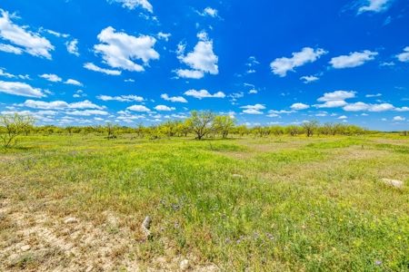 1764.55 Acres of Prime Ranch Land, Sonora TX - image 40
