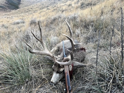 Highwood Creek Haven-Premier Montana Hunting & Recreational Land - image 8
