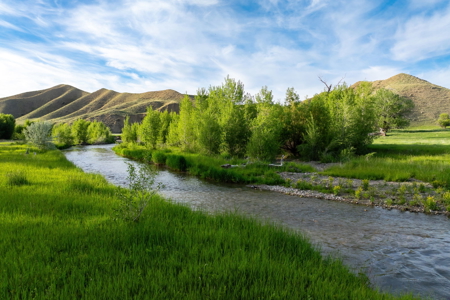 Highwood Creek Haven-Premier Montana Hunting & Recreational Land - image 22