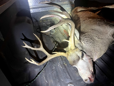 Highwood Creek Haven-Premier Montana Hunting & Recreational Land - image 5