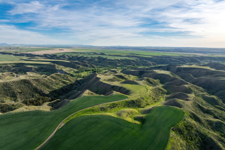 Highwood Creek Haven-Premier Montana Hunting & Recreational Land - image 28