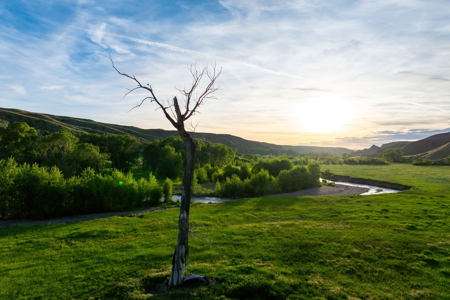 Highwood Creek Haven-Premier Montana Hunting & Recreational Land - image 33