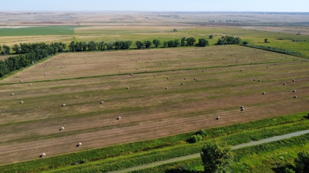 Milk River Ranch - image 13