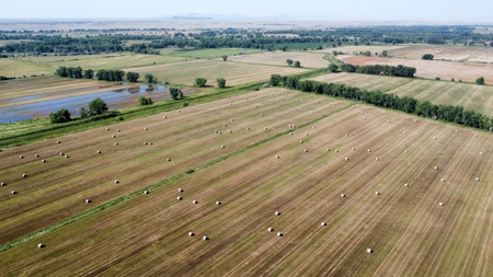 Milk River Ranch - image 16