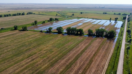 Milk River Ranch - image 11