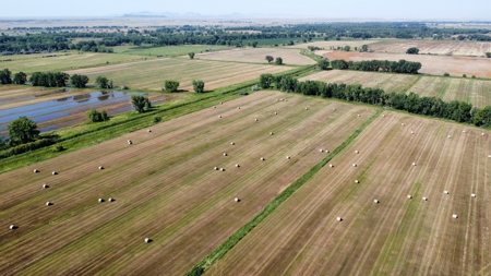 Milk River Ranch - image 15