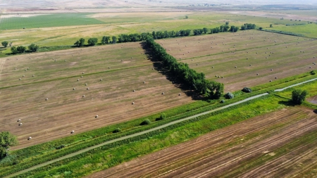 Milk River Ranch - image 8
