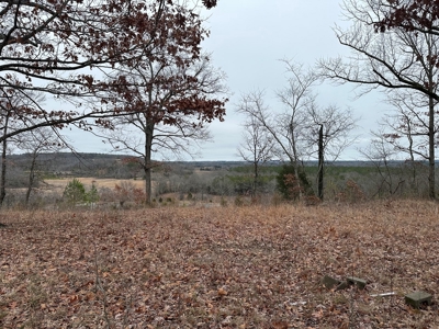 36 acres with gas well near Rose Bud, AR - image 8