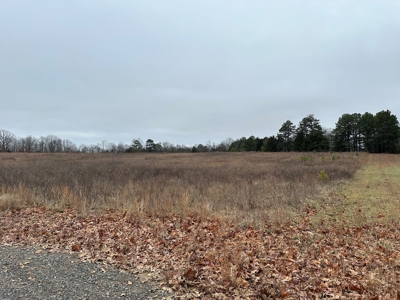 36 acres with gas well near Rose Bud, AR - image 29