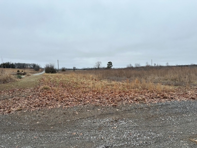 36 acres with gas well near Rose Bud, AR - image 31