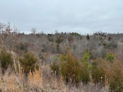 36 acres with gas well near Rose Bud, AR - image 13