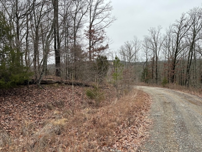 36 acres with gas well near Rose Bud, AR - image 19