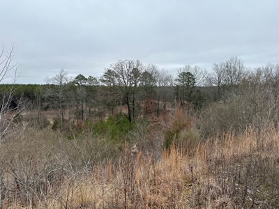 36 acres with gas well near Rose Bud, AR - image 17
