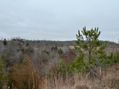 36 acres with gas well near Rose Bud, AR - image 12