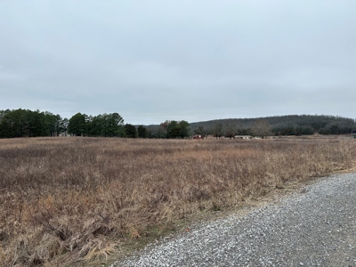 36 acres with gas well near Rose Bud, AR - image 23