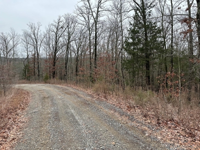 36 acres with gas well near Rose Bud, AR - image 20
