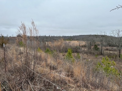 36 acres with gas well near Rose Bud, AR - image 16