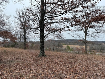 36 acres with gas well near Rose Bud, AR - image 6