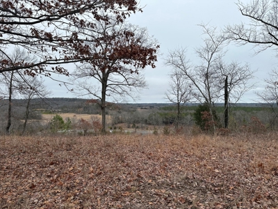 36 acres with gas well near Rose Bud, AR - image 7