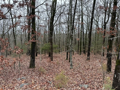36 acres with gas well near Rose Bud, AR - image 10