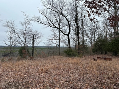 36 acres with gas well near Rose Bud, AR - image 5
