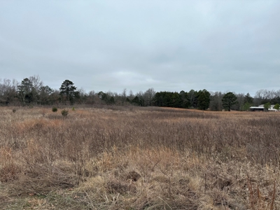 36 acres with gas well near Rose Bud, AR - image 24