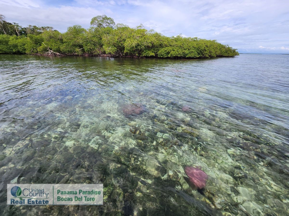 Large Waterfront Land, 32 Acres — Isla Popa - 16