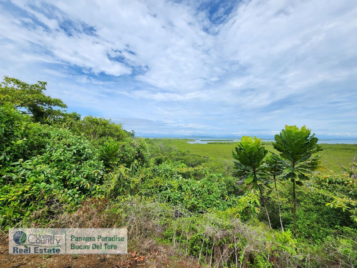 Large Waterfront Land, 32 Acres — Isla Popa - 13