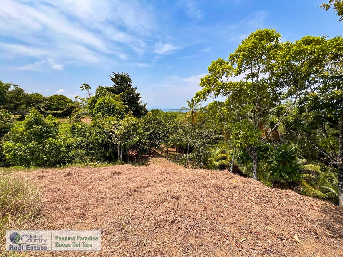 Large Waterfront Land, 32 Acres — Isla Popa - 25
