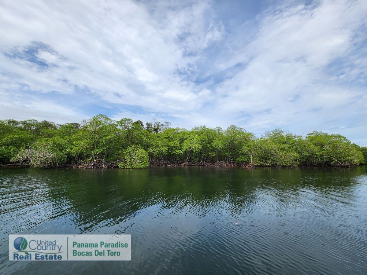 Large Waterfront Land, 32 Acres — Isla Popa - 17