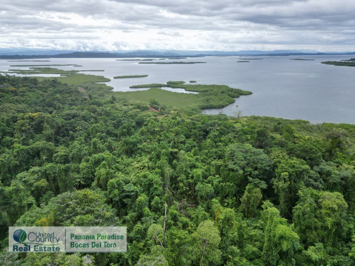 Large Waterfront Land, 32 Acres — Isla Popa - 18