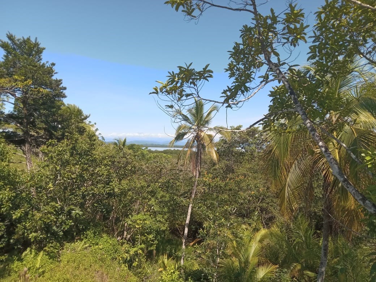 Large Waterfront Land, 32 Acres — Isla Popa - 21