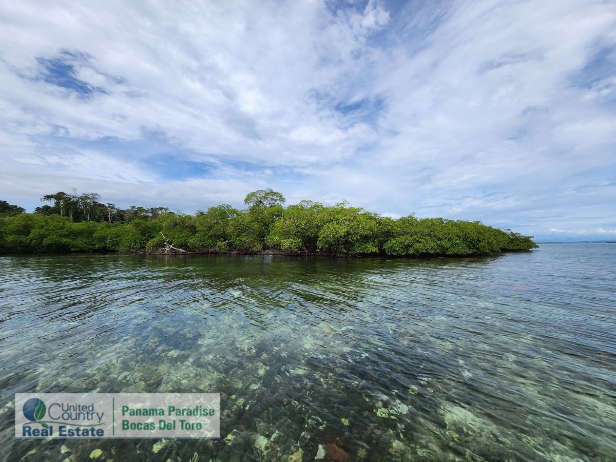 Large Waterfront Land, 32 Acres — Isla Popa - 27