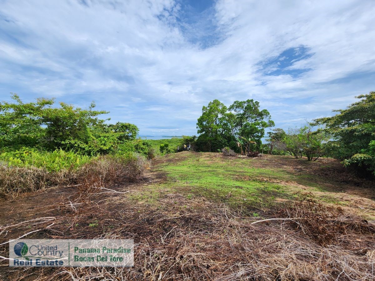 Large Waterfront Land, 32 Acres — Isla Popa - 15