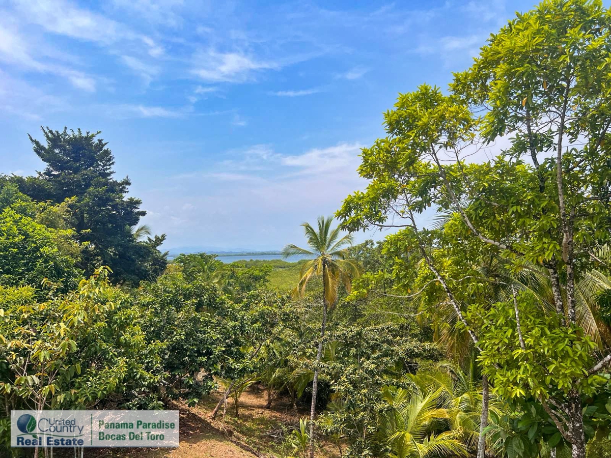 Large Waterfront Land, 32 Acres — Isla Popa - 22
