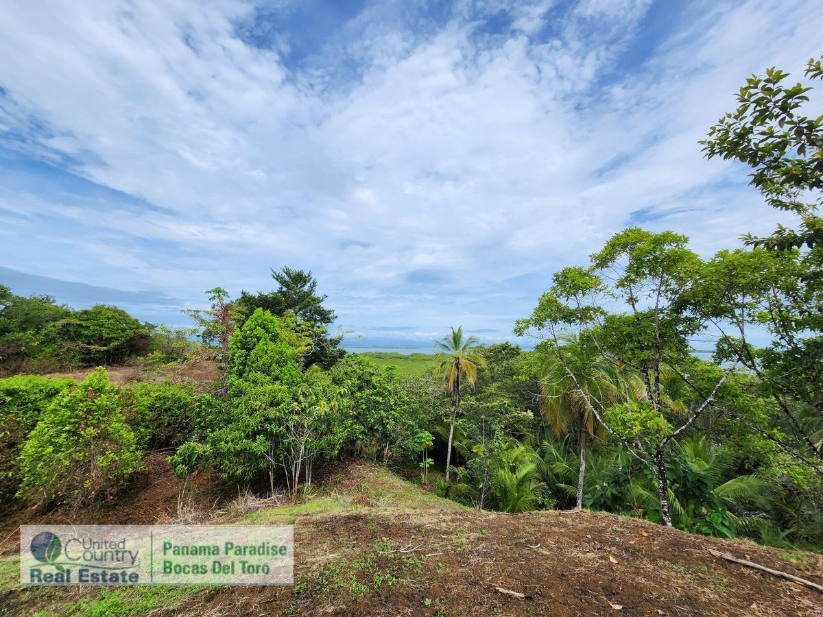 Large Waterfront Land, 32 Acres — Isla Popa - 20