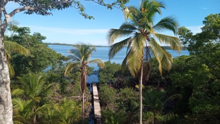 Large Waterfront Land for Sale – Isla Popa, Bocas del Toro - image 25
