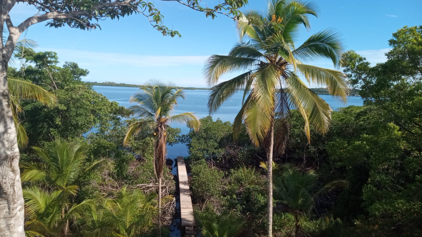 Large Waterfront Land, 32 Acres — Isla Popa - 9