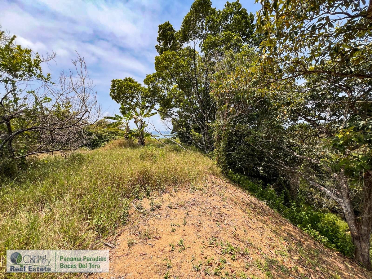 Large Waterfront Land, 32 Acres — Isla Popa - 23
