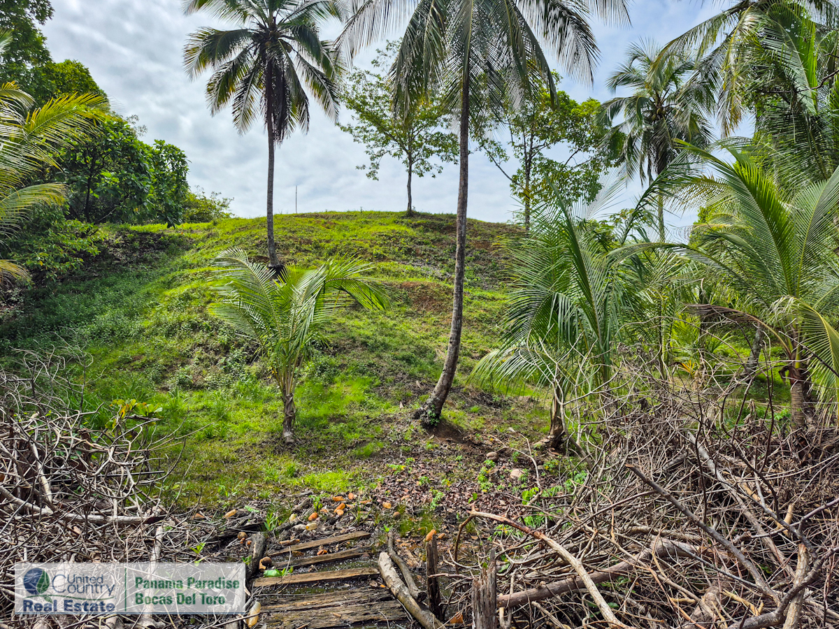 Large Waterfront Land, 32 Acres — Isla Popa - 10
