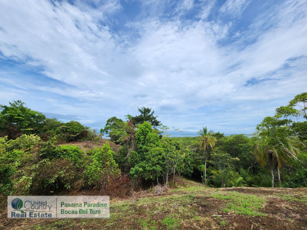 Large Waterfront Land, 32 Acres — Isla Popa - 14