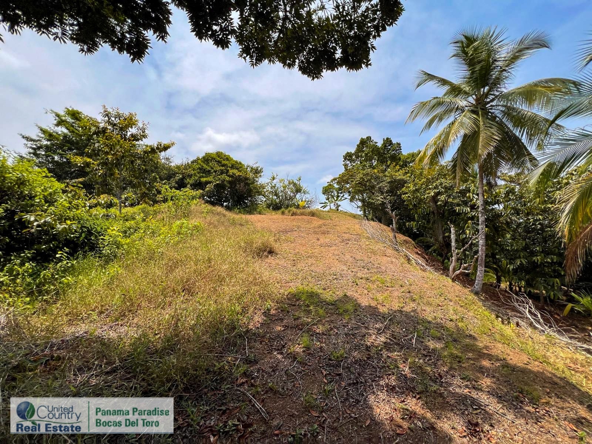 Large Waterfront Land, 32 Acres — Isla Popa - 12