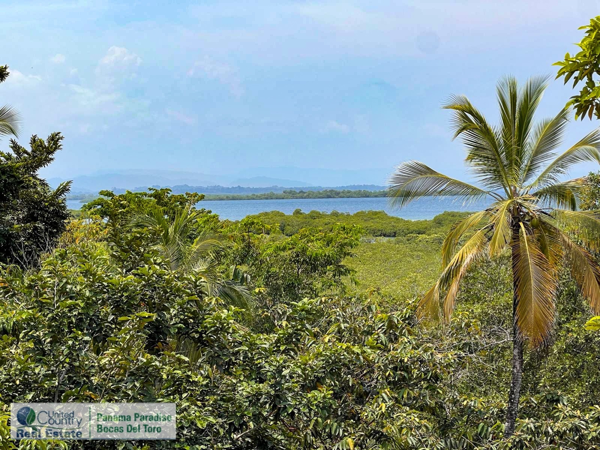 Large Waterfront Land, 32 Acres — Isla Popa - 11