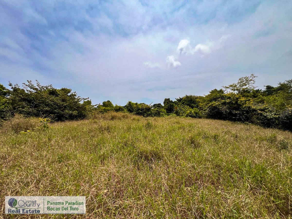 Large Waterfront Land, 32 Acres — Isla Popa - 24