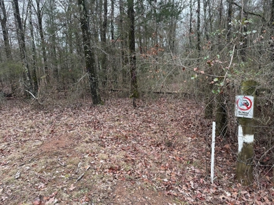 7.5 Acres For Sale, Heber Springs, AR near Greers Ferry Lake - image 19