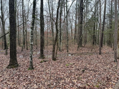 7.5 Acres For Sale, Heber Springs, AR near Greers Ferry Lake - image 16